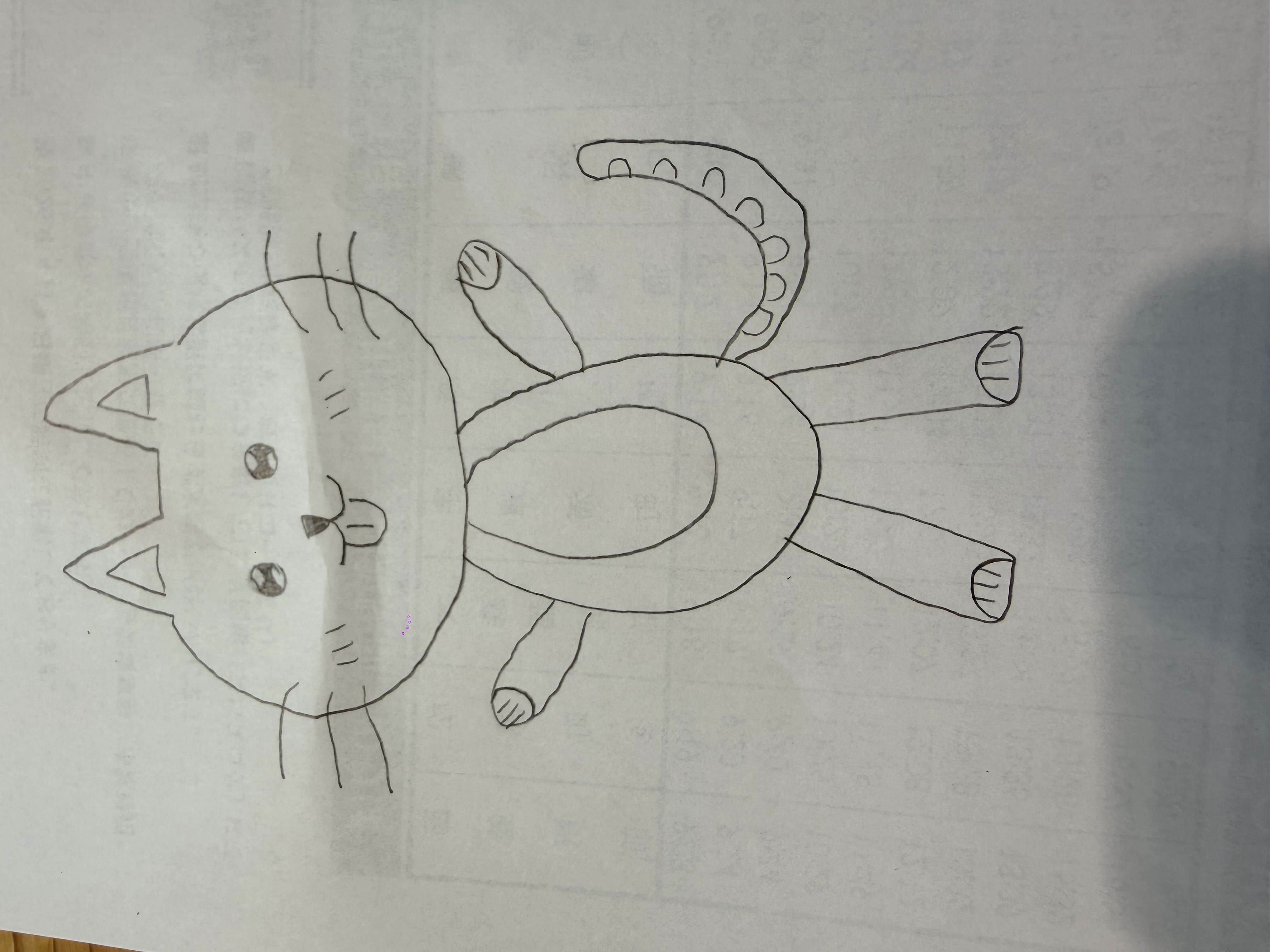 Celia 手繪的虎斑喵